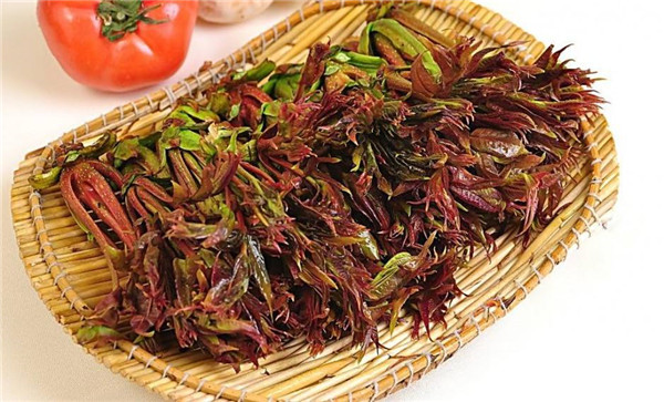 春季養(yǎng)肝吃什么好