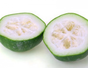 減肥最快的十種食物