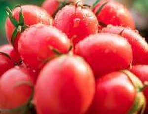 西紅柿炒雞蛋的營養(yǎng)價值